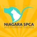 Friends from the Niagara SPCA will be on-site all weekend